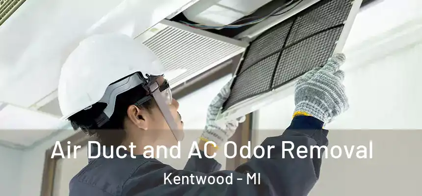  Air Duct and AC Odor Removal Kentwood - MI