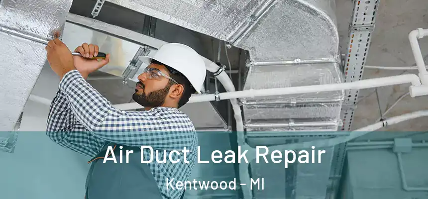  Air Duct Leak Repair Kentwood - MI