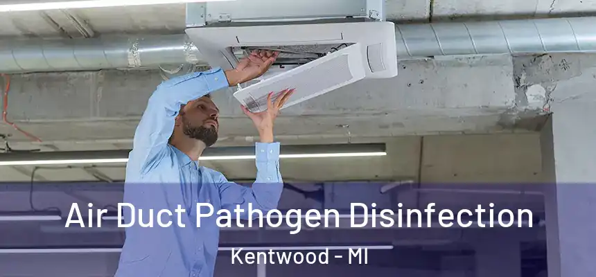  Air Duct Pathogen Disinfection Kentwood - MI