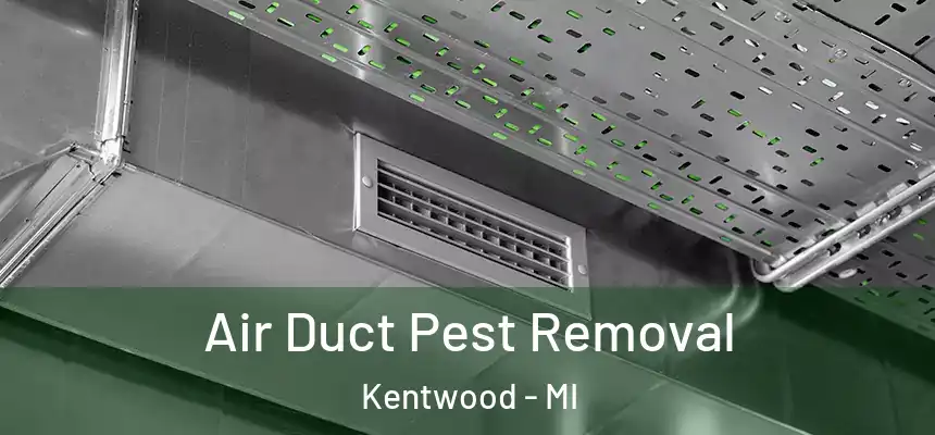  Air Duct Pest Removal Kentwood - MI