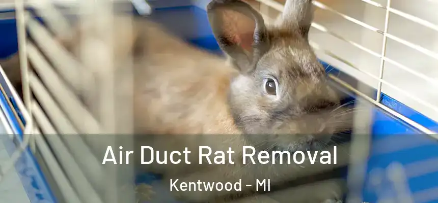  Air Duct Rat Removal Kentwood - MI