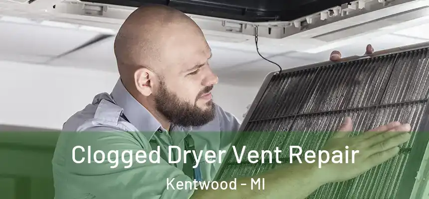  Clogged Dryer Vent Repair Kentwood - MI