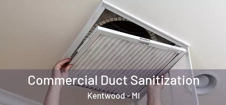  Commercial Duct Sanitization Kentwood - MI