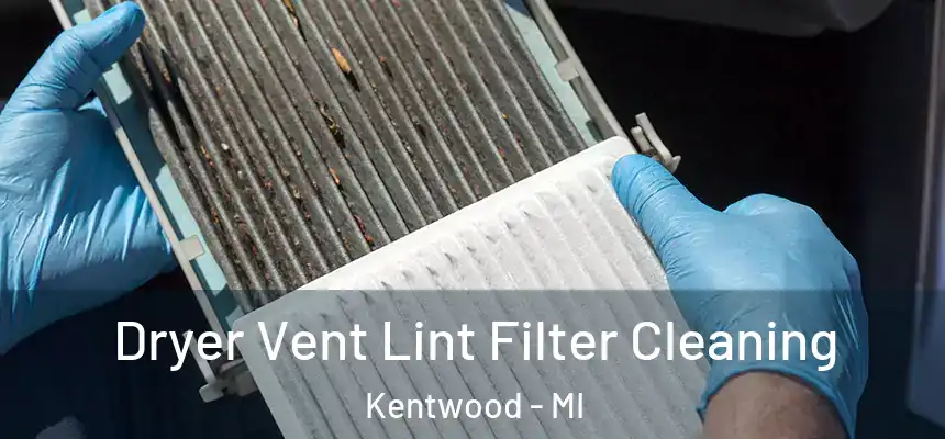  Dryer Vent Lint Filter Cleaning Kentwood - MI