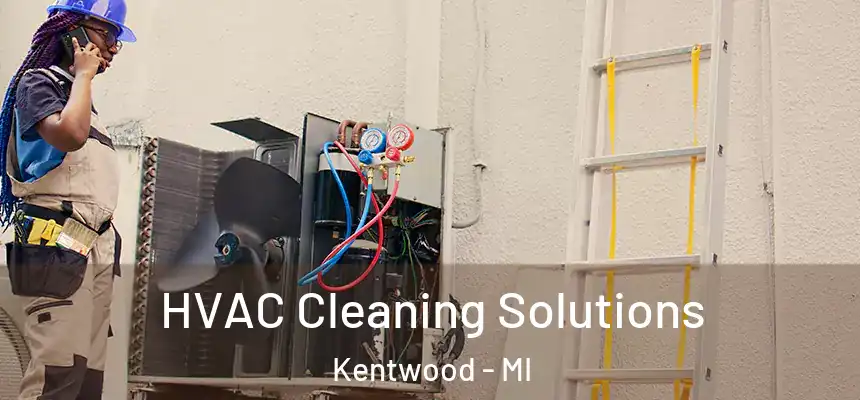  HVAC Cleaning Solutions Kentwood - MI