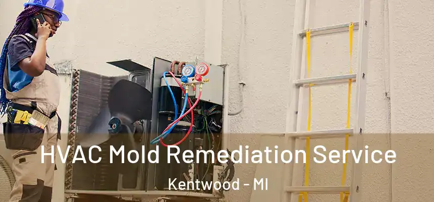  HVAC Mold Remediation Service Kentwood - MI