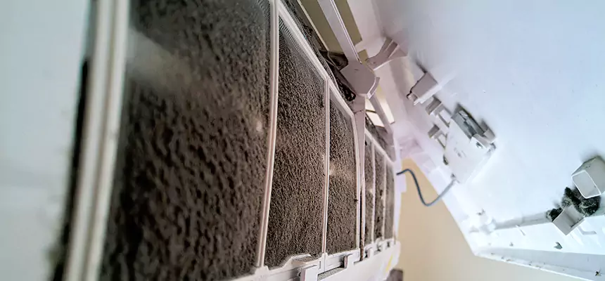 Preventive Air Duct Bacteria Removal in Kentwood