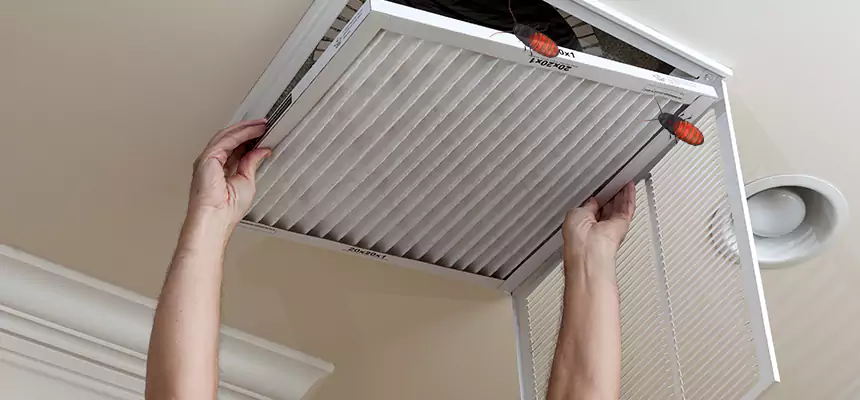 Preventive Cockroach-Proofing for Ducts in Kentwood
