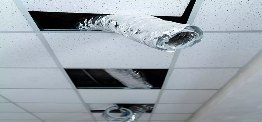 Affordable HVAC Sanitizing After Pest Removal in Kentwood