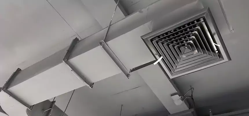 Restorative Allergy Relief Vent Cleaning – Coil, Blower & Housing Detail in Kentwood