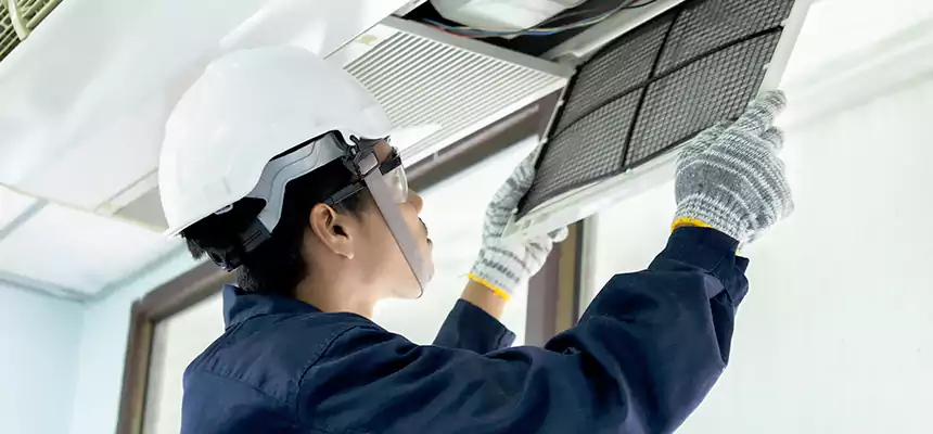 Our Mold & Mildew Removal from Air Ducts Services in Kentwood, MI