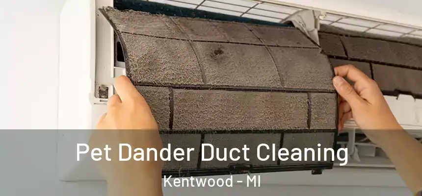  Pet Dander Duct Cleaning Kentwood - MI