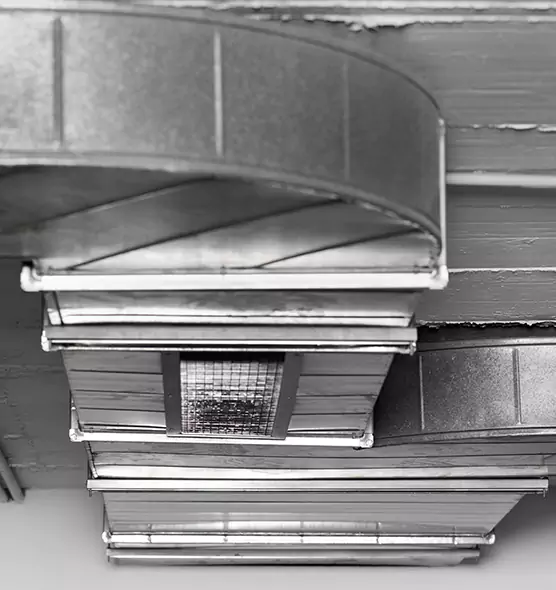 Professional Air Duct Pet Hair Removal in Kentwood, MI