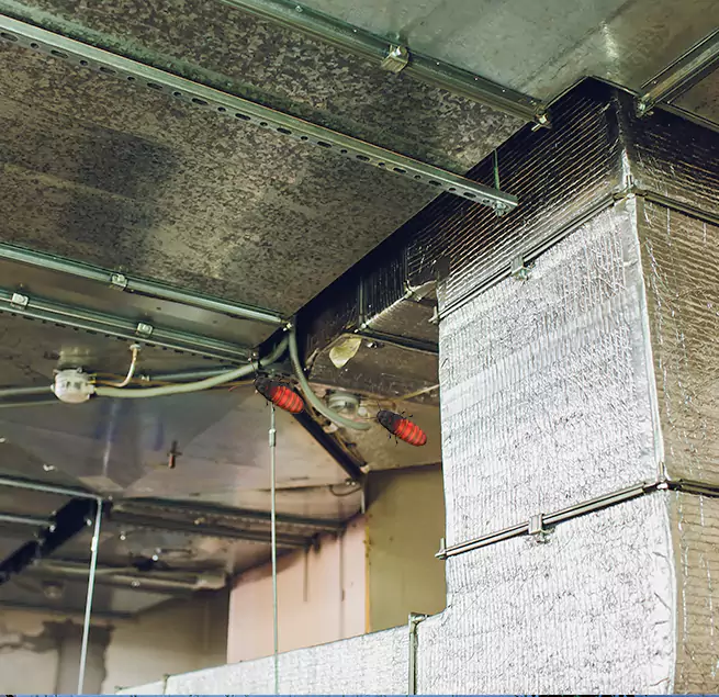 Why Homeowners & Businesses Trust Us Kentwood, MI?