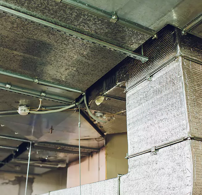 Why Homeowners & Businesses Trust Us in Kentwood, MI?