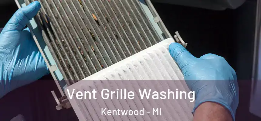  Vent Grille Washing Kentwood - MI