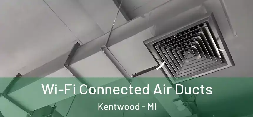  Wi-Fi Connected Air Ducts Kentwood - MI